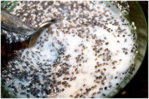 how-to-eat-chia-seeds-1